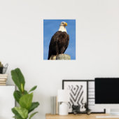 American Bald Eagle Poster (Heimbüro)