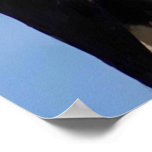 American Bald Eagle Poster (Ecke)