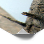 American Bald Eagle Poster (Ecke)