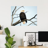 American Bald Eagle Poster (Heimbüro)