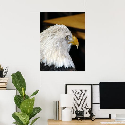 American Bald Eagle Poster (Heimbüro)