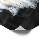 American Bald Eagle Poster (Ecke)