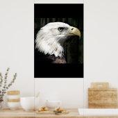 American Bald Eagle Poster Print Eagles Posters (Küche)