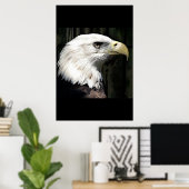 American Bald Eagle Poster Print Eagles Posters (Heimbüro)