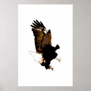 American Bald Eagle Poster Print Eagles Posters