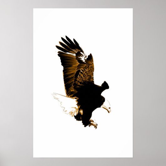 American Bald Eagle Poster Print Eagles Posters (Vorne)