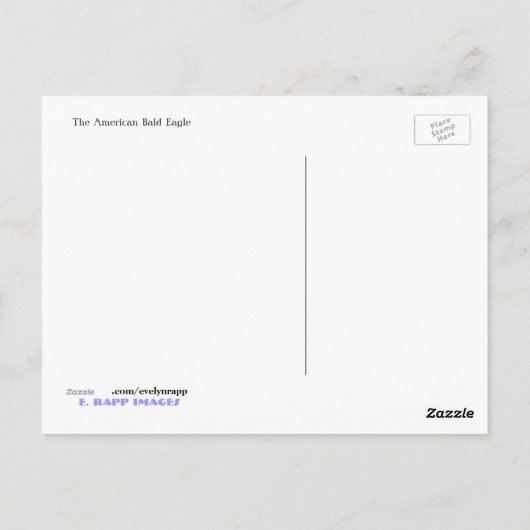 American Bald Eagle Postkarte (Rückseite)