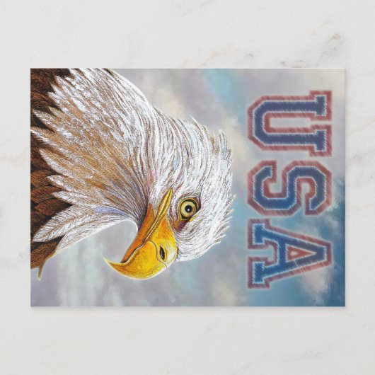 American Bald Eagle Postkarte (Vorderseite)