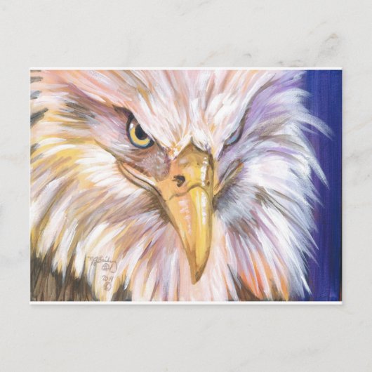 American Bald Eagle Postkarte (Vorderseite)