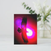 American Bald Eagle Postkarte (Stehend Vorderseite)