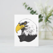 American Bald Eagle Postkarte (Stehend Vorderseite)