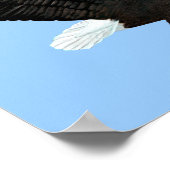 American Bald Eagle Print Poster (Ecke)