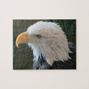 American Bald Eagle Puzzle
