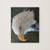 American Bald Eagle Puzzle (Vertikal)