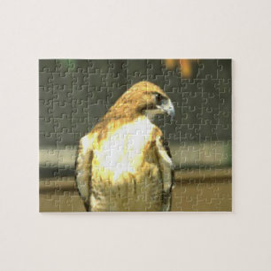 American Bald Eagle Puzzle
