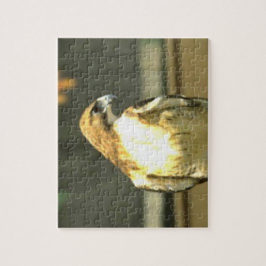 American Bald Eagle Puzzle (Vertikal)