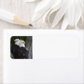 American Bald Eagle Rücksendeadressen-Aufkleber (Insitu)