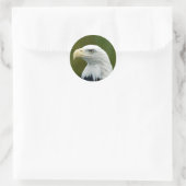 American Bald Eagle Runder Aufkleber (Tasche)