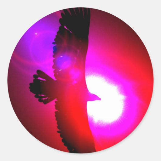 American Bald Eagle Runder Aufkleber (Vorderseite)