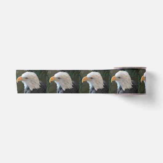 American Bald Eagle Satinband (Vorderseite)