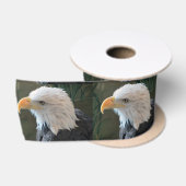 American Bald Eagle Satinband (Spule)