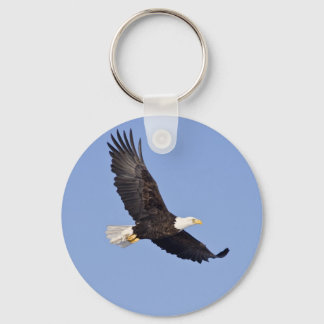 American Bald Eagle Schlüsselanhänger