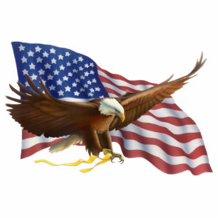 American Bald Eagle Schlüsselanhänger Fotoskulptur Schlüsselanhänger