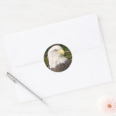 American Bald Eagle Sticker (Umschlag)