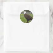 American Bald Eagle Sticker (Tasche)