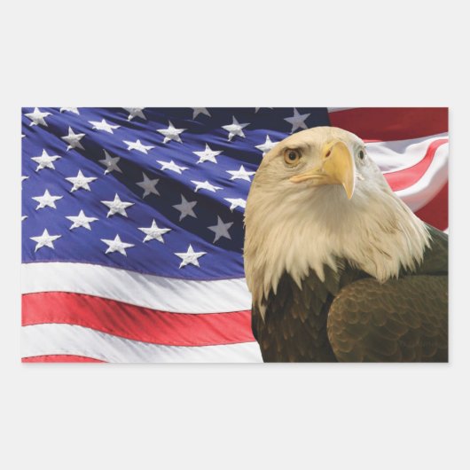 American Bald Eagle und Flag Rechteckiger Aufkleber (Vorderseite)