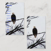 American Bald Eagle Visitenkarte (Vorne/Hinten)