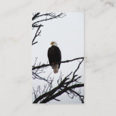 American Bald Eagle Visitenkarte (Rückseite)