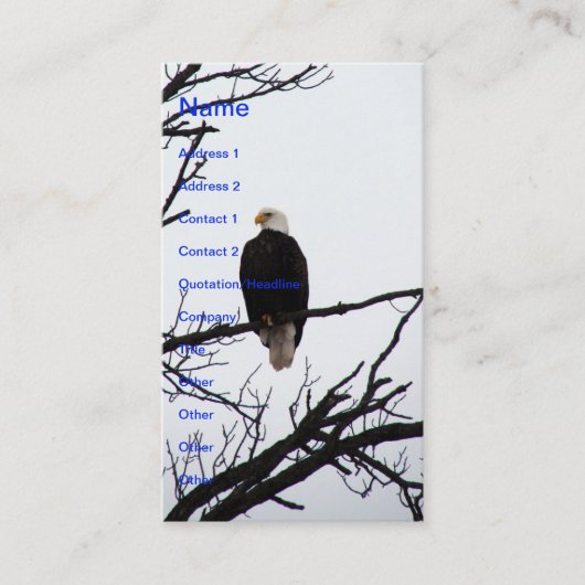 American Bald Eagle Visitenkarte (Vorderseite)