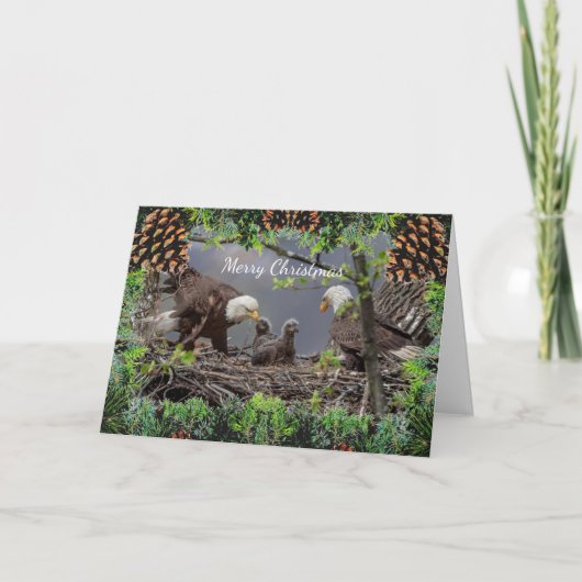American Bald Eagle Weihnachtskarte Karte (Vorderseite)