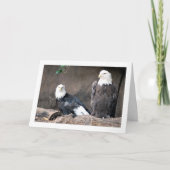 American Bald Eagles Portrait Karte (Vorderseite)