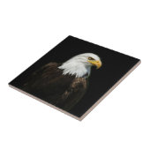 American Bald Headed Eagle Wildlife Bird Foto Fliese (Seite)