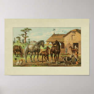 American Bauer Vintag Print Horses Dog Poster