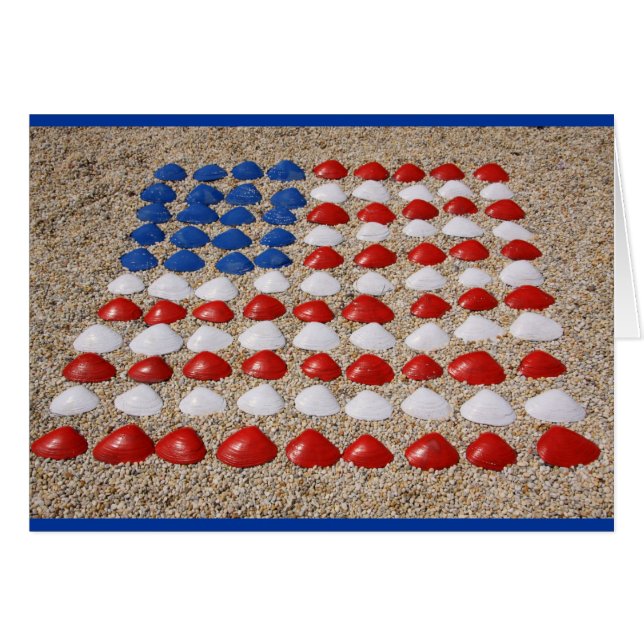 American Beach SeaShells (Vorderseite (Horizontal))