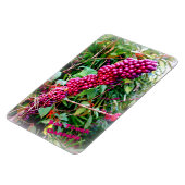 American Beautyberry at Bok Tower Gardens Florida Magnet (Linke Seite)