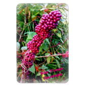 American Beautyberry at Bok Tower Gardens Florida Magnet (Vertikal)