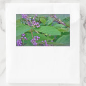 American Beautyberry (Callicarpa americana) Rechteckiger Aufkleber (Tasche)