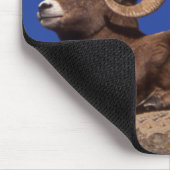 American Bighorn Sheep Mousepad (Ecke)