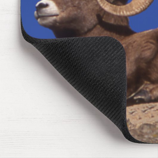 American Bighorn Sheep Mousepad (Ecke)