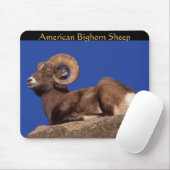 American Bighorn Sheep Mousepad (Mit Mouse)