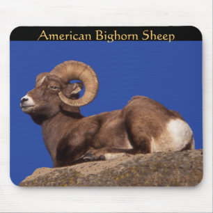 American Bighorn Sheep Mousepad