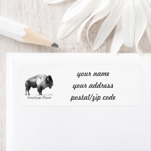 American Bison (Insitu)