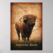 American Bison auf der Karte Poster (Vorne)