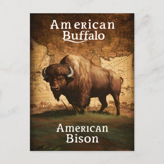 American Bison auf Karte (Vorderseite)