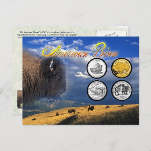 American Bison auf Münzen Postkarte (Vorne/Hinten)