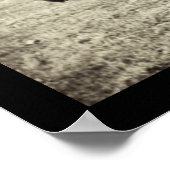 American Bison Buffalo Foto 1906 Poster (Ecke)